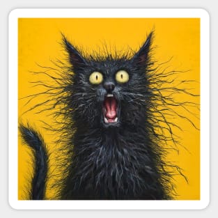 Shocked black cat Sticker